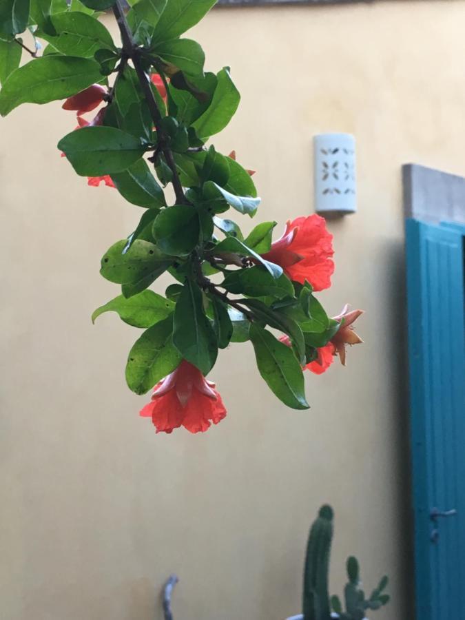 Masseria Lu Iundulu Lecce Esterno foto